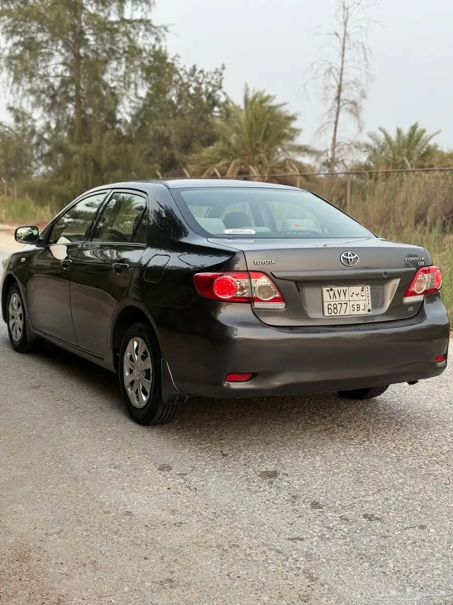 كورلاء 2013 تماتيك 3