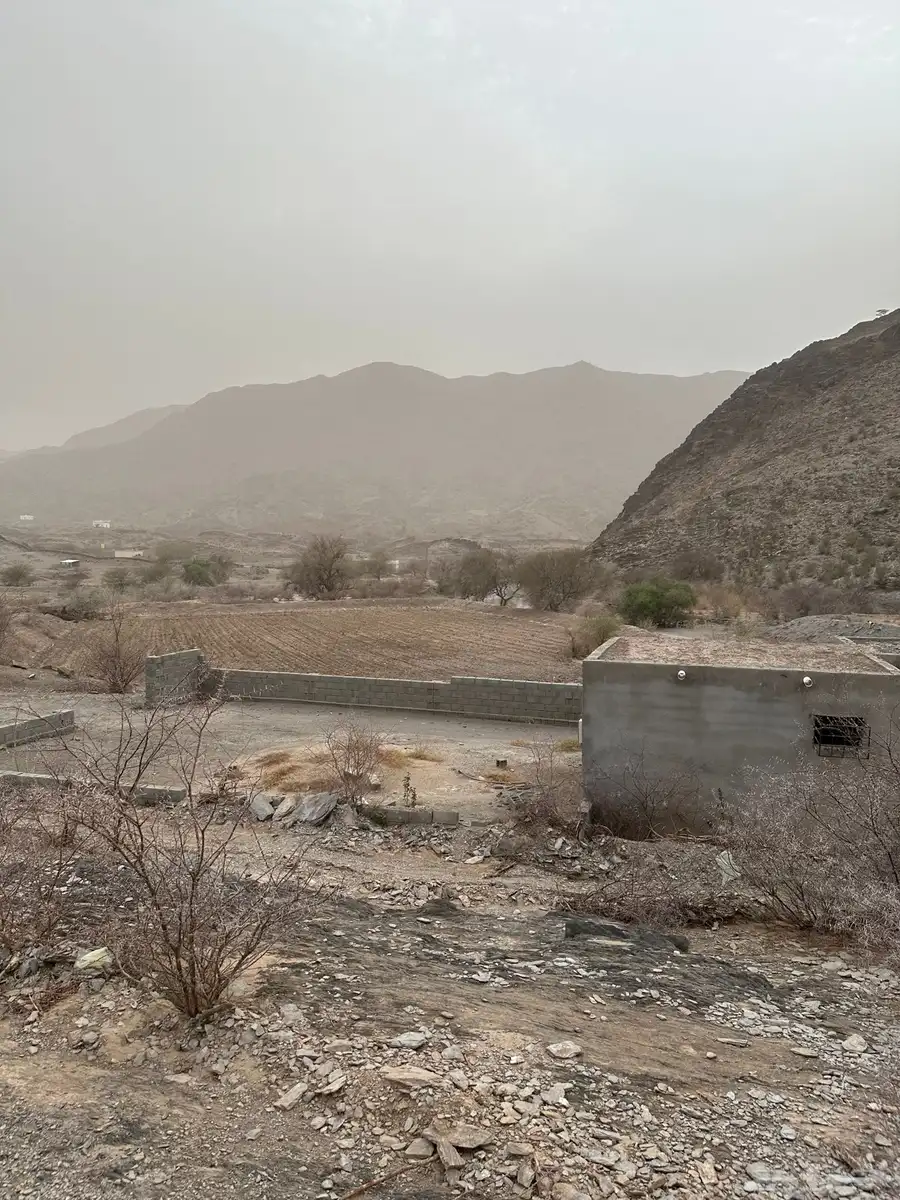 كامري 1