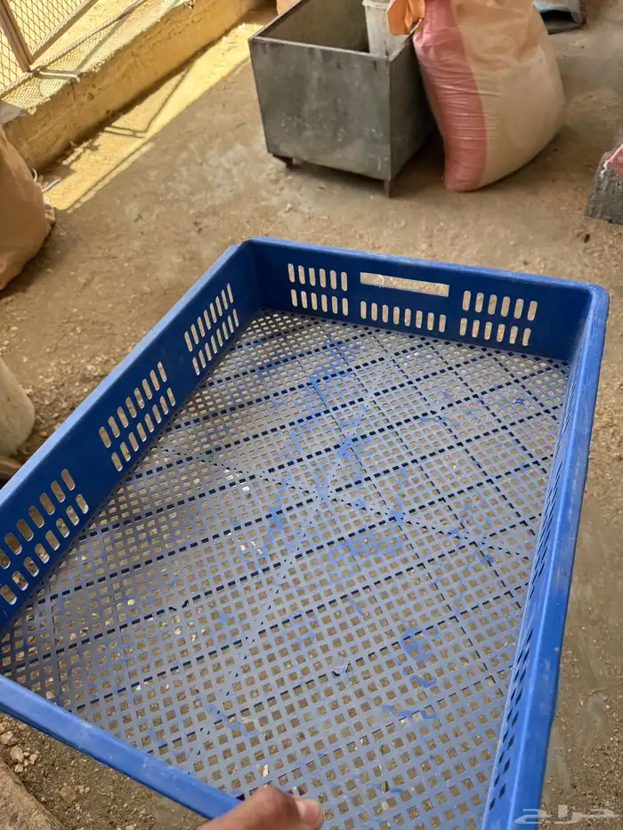 اشبوك فقاسه نظيفه 1