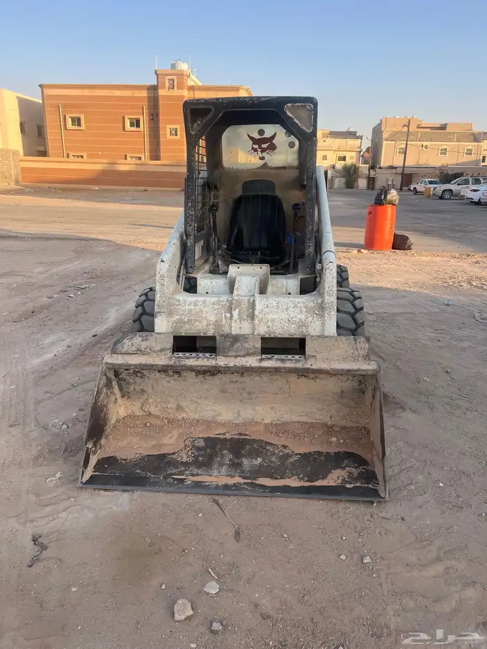 بوبكات ( شيول صغير) 1