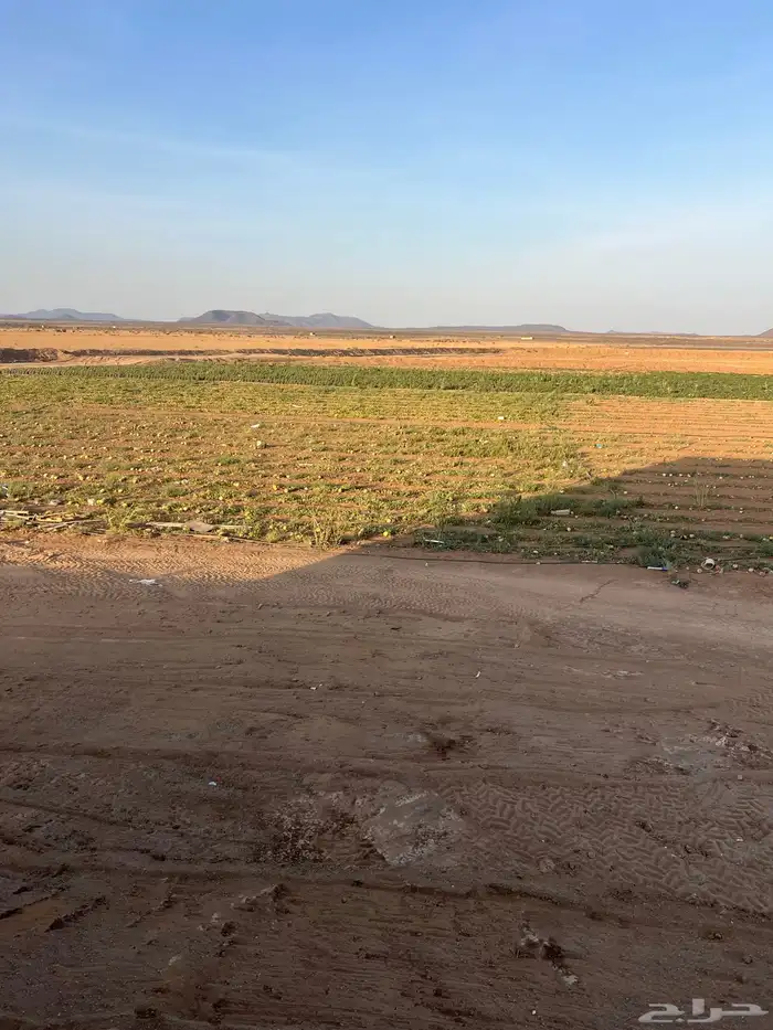 مزرعة كبيره فيها بيت مساحه 200الف صك اكتروني 28