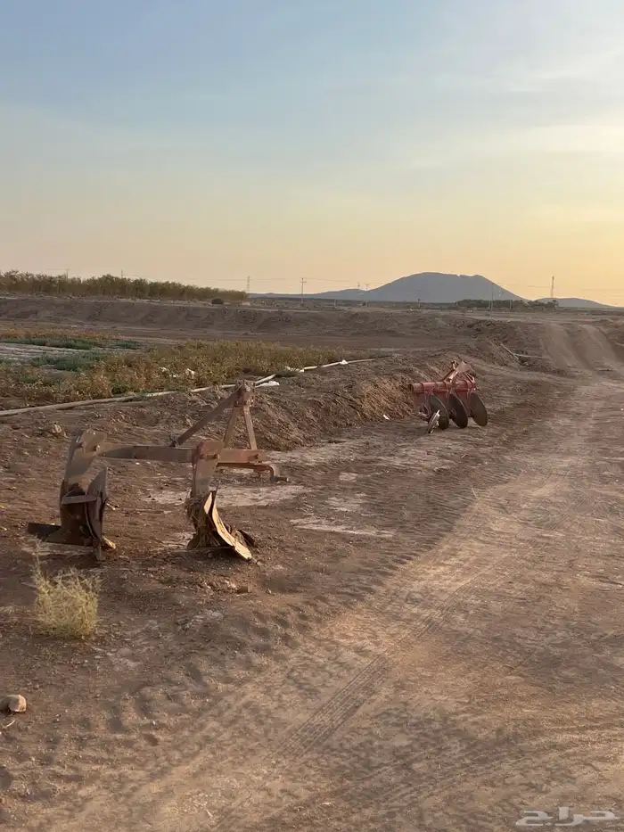 مزرعة كبيره فيها بيت مساحه 200الف صك اكتروني 5