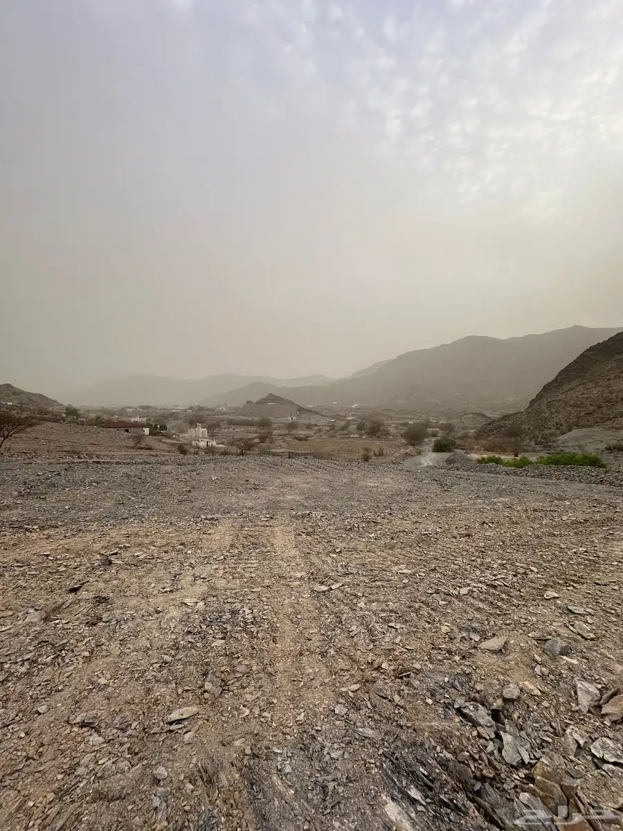 كامري 7