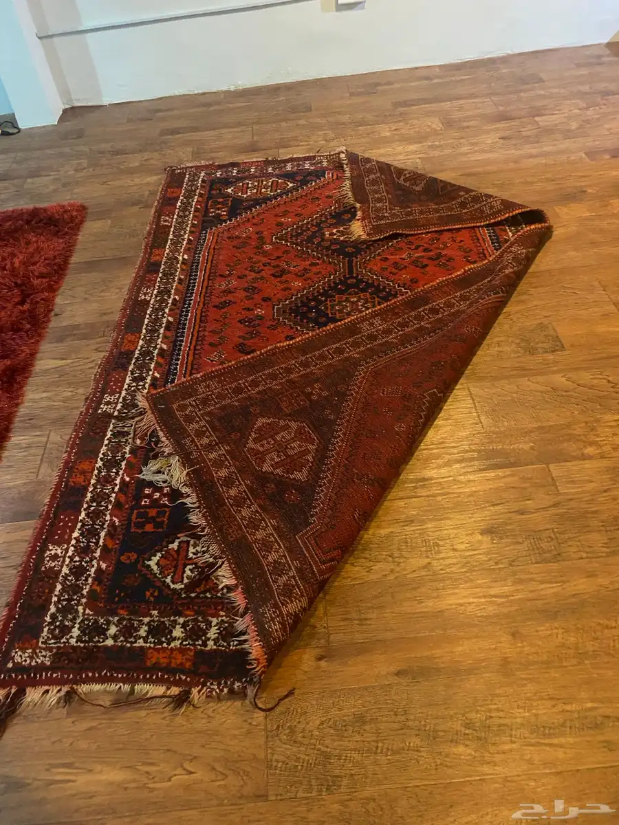 زل ايراني عمر 60 سنة 2