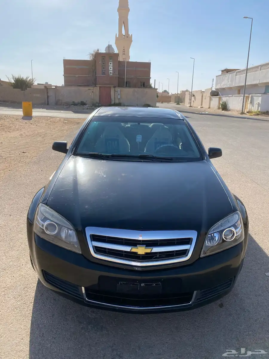 كابرس 2015 9