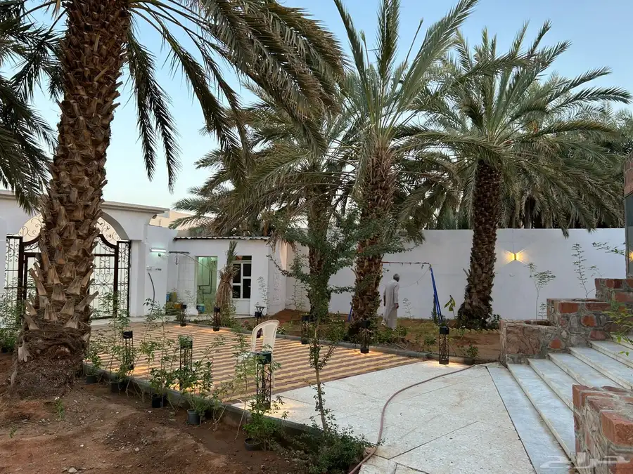 فيلا مع مزرعة للبيع في حي البركة (العيون) 5