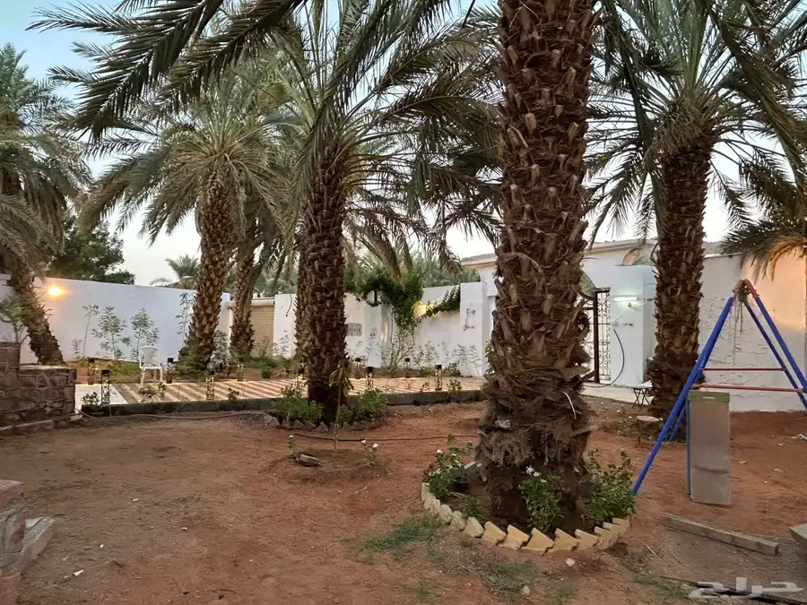 فيلا مع مزرعة للبيع في حي البركة (العيون) 4