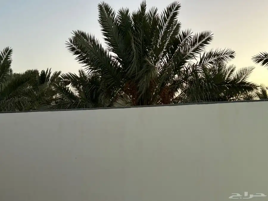 فيلا مع مزرعة للبيع في حي البركة (العيون) 45