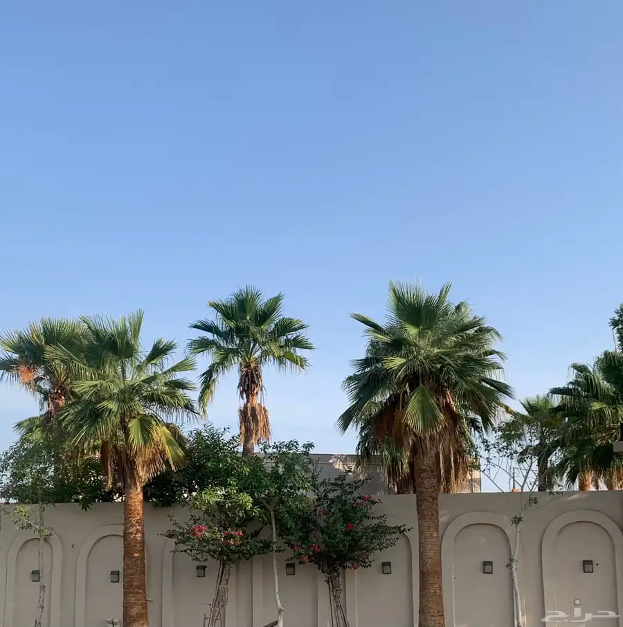 استراحة ( فيلا فتدقية ) بمكةالمكرمة - الراشدية 9