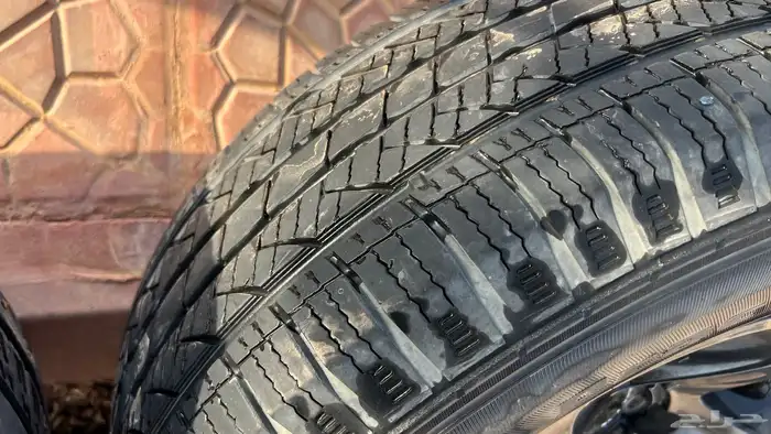 جنوط شاص وربع رفرف 5