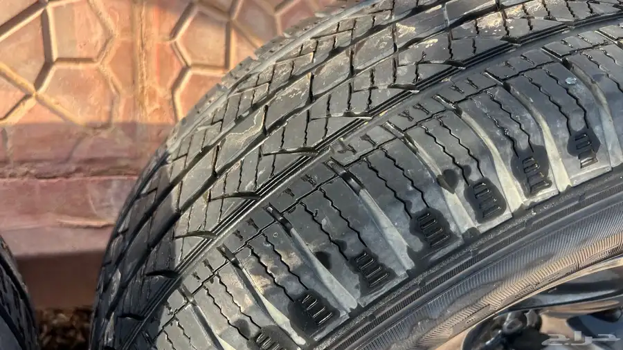 جنوط شاص وربع رفرف 5