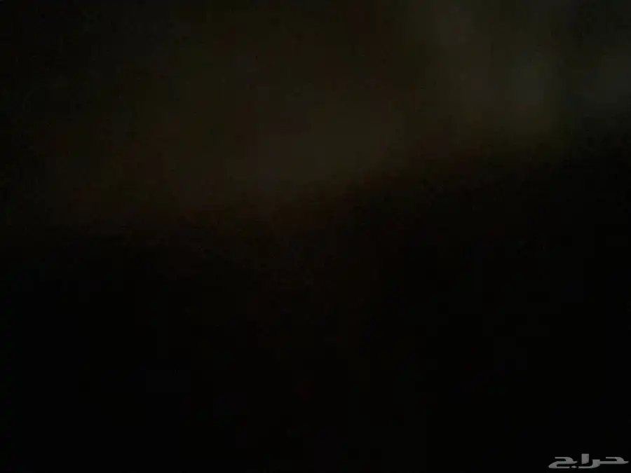 حمام  صنعاني جوز ابيض   فردي تين ذكور حمر و فرخ باكستان 0