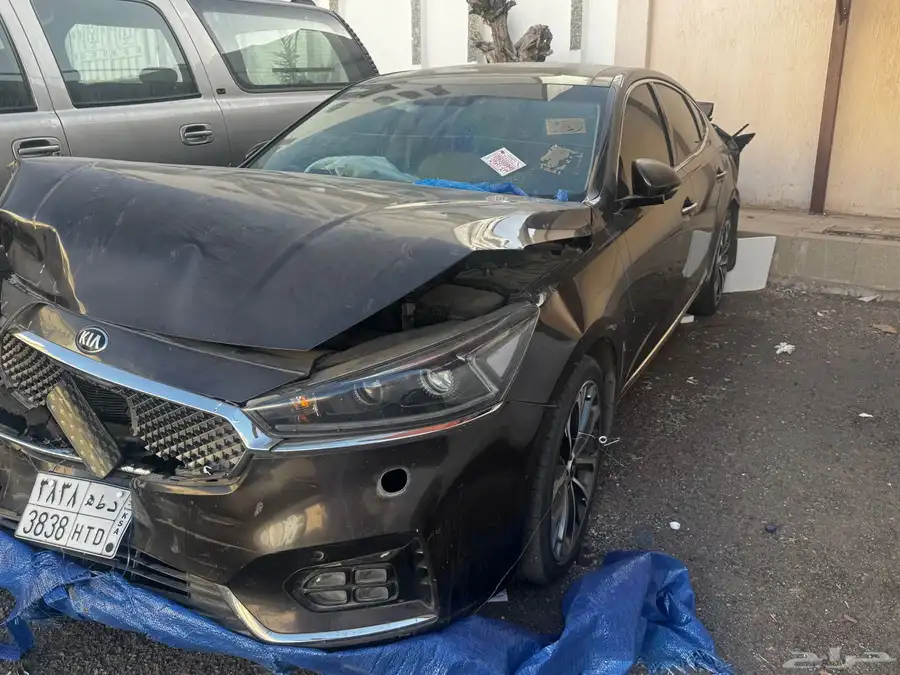 كادينزا 2019 اللون موكا ( مصدومه ) 5