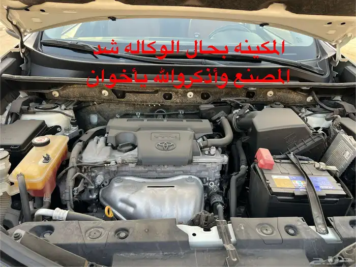 راف فورأعلافئه2018قمه في النضافه 18