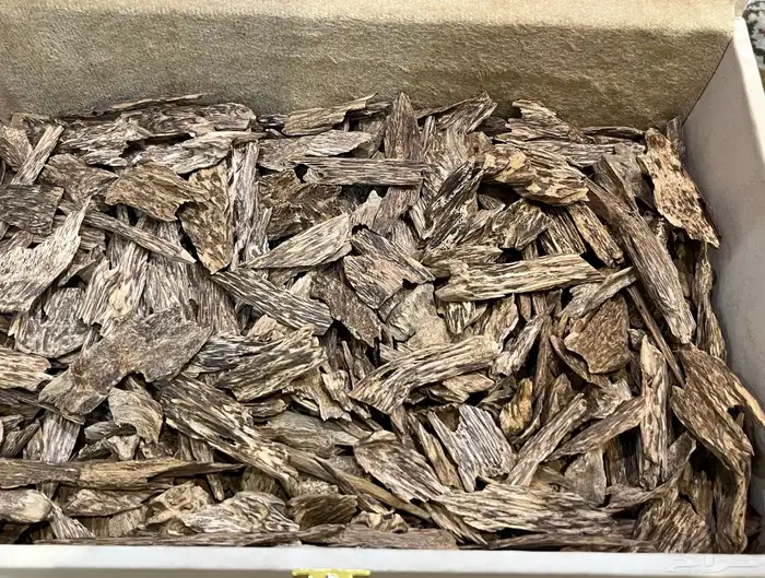 عود سومطري طبيعي فخم 0