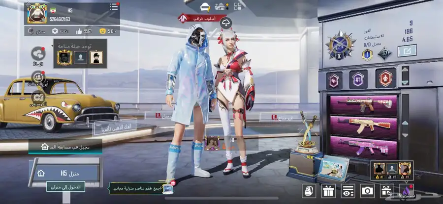حساب ببجي 10