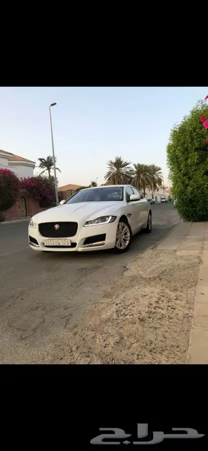 جاكور XF بدي وكاله index