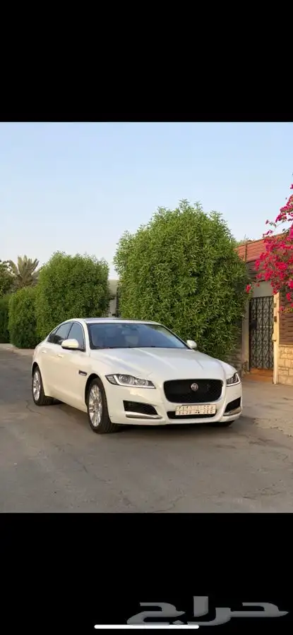 جاكور XF بدي وكاله index