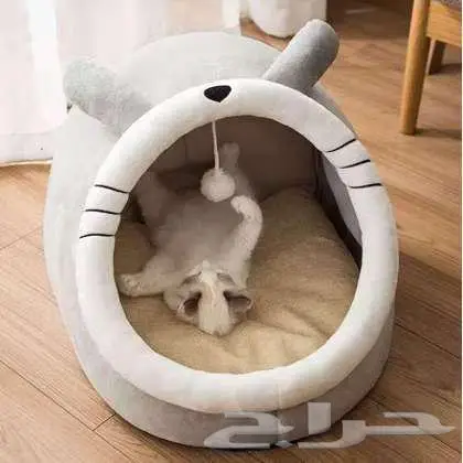 منتجات لقطتك 0