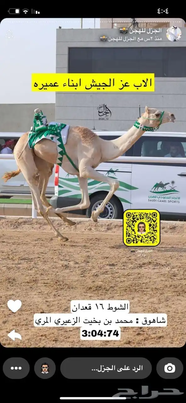 ناقه سودانيه تحتها بكره بنت عز الجيش جمل ياسر عميره الجهني 10