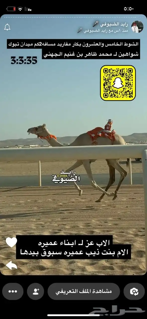ناقه سودانيه تحتها بكره بنت عز الجيش جمل ياسر عميره الجهني 9