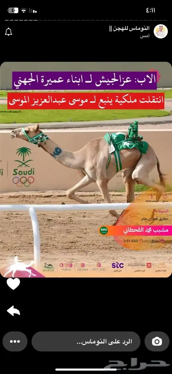 ناقه سودانيه تحتها بكره بنت عز الجيش جمل ياسر عميره الجهني 13