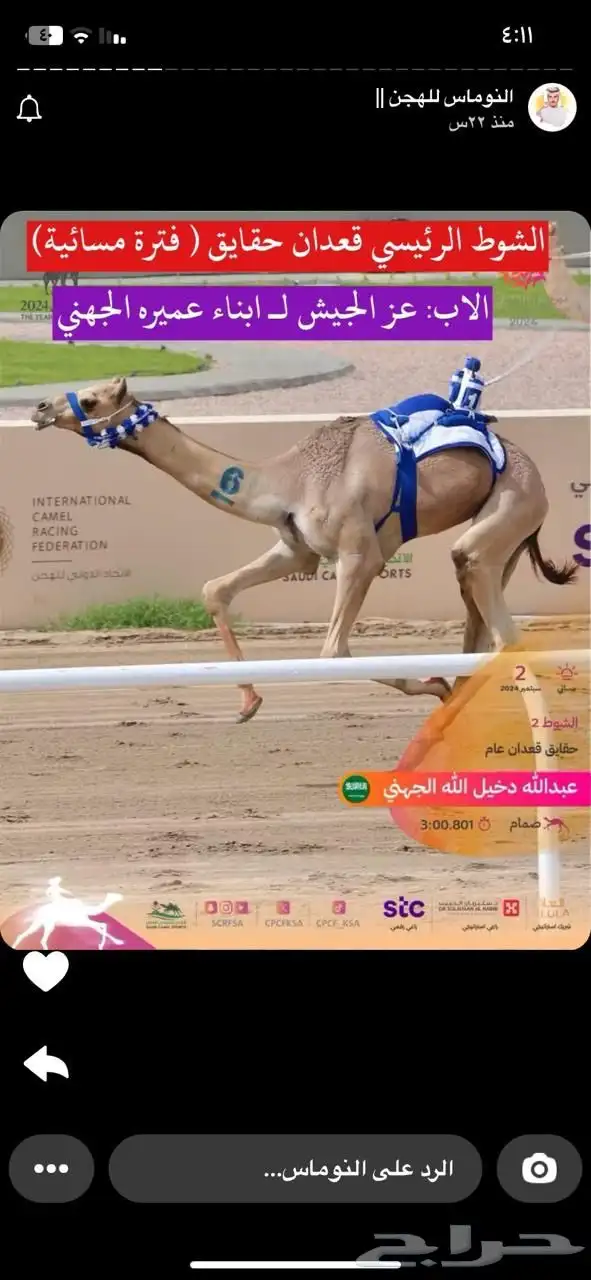 ناقه سودانيه تحتها بكره بنت عز الجيش جمل ياسر عميره الجهني 14
