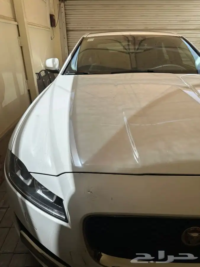 جاكور XF بدي وكاله 20