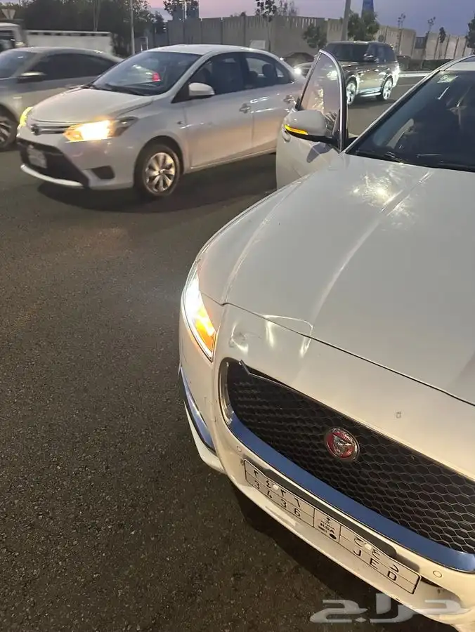 جاكور XF بدي وكاله 19