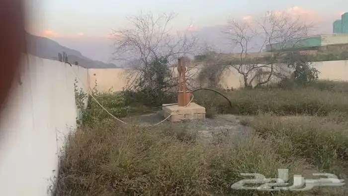 المجارده 1
