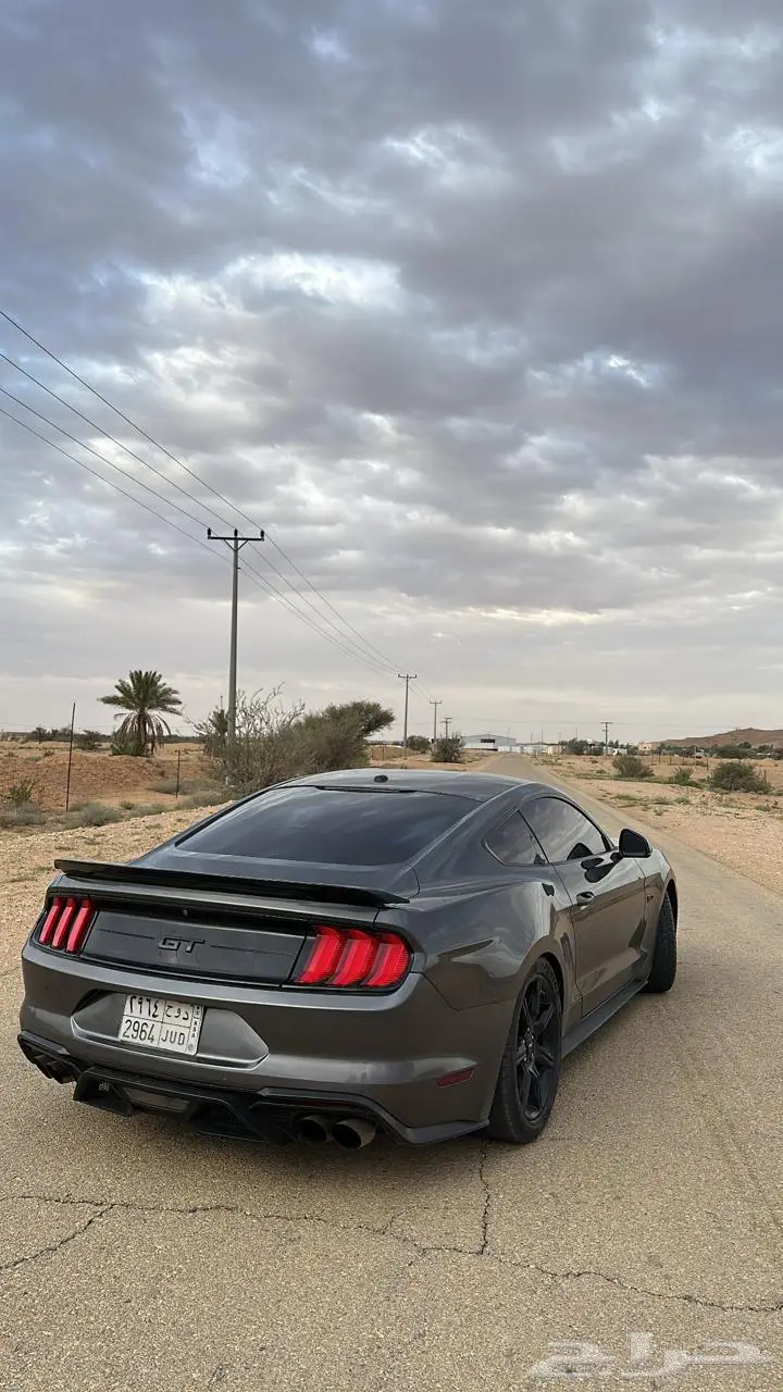 فورد موستنق 2019 (بدي وكالة) 0
