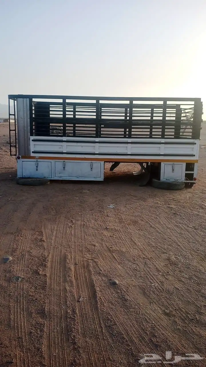 صندوق دينه سوبر جمبو 0
