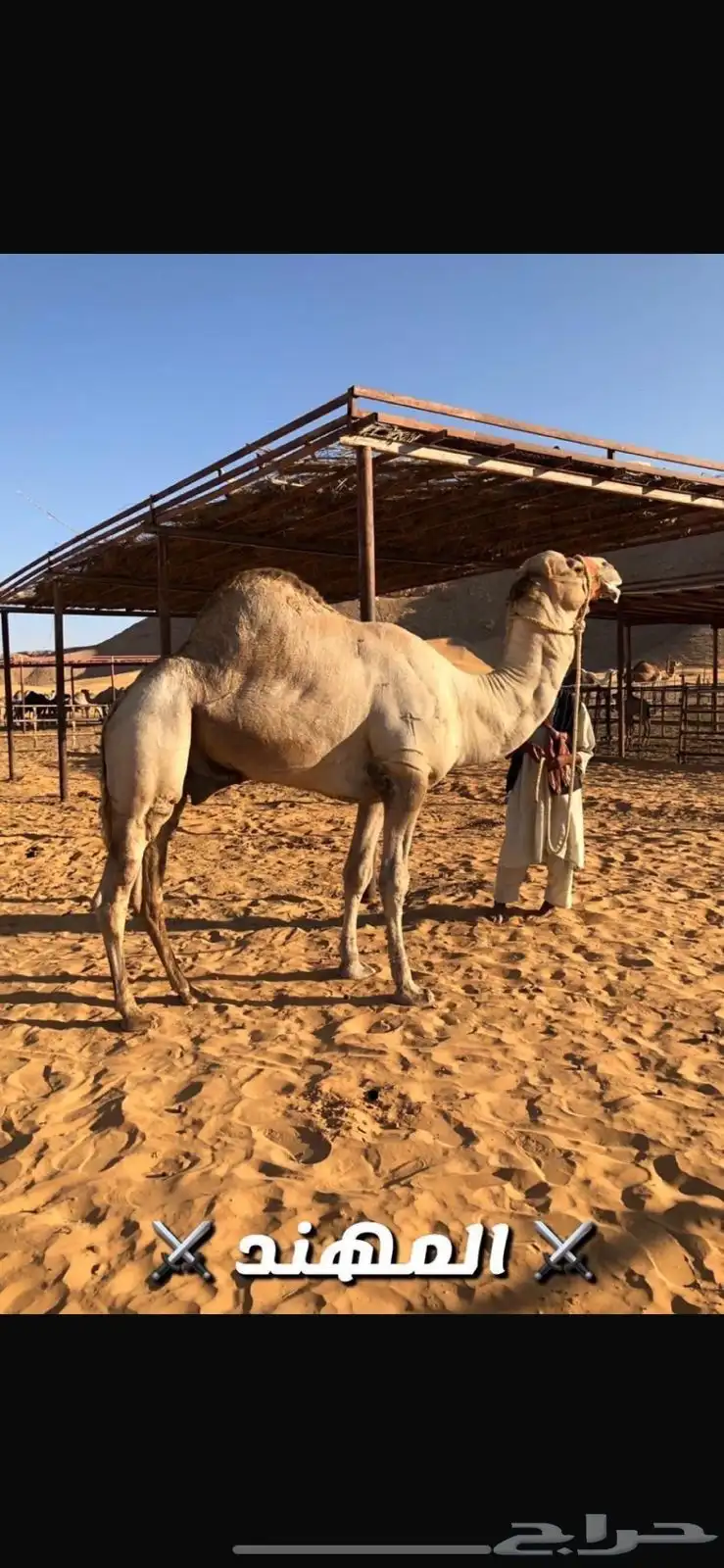 للبيع خلفه 3