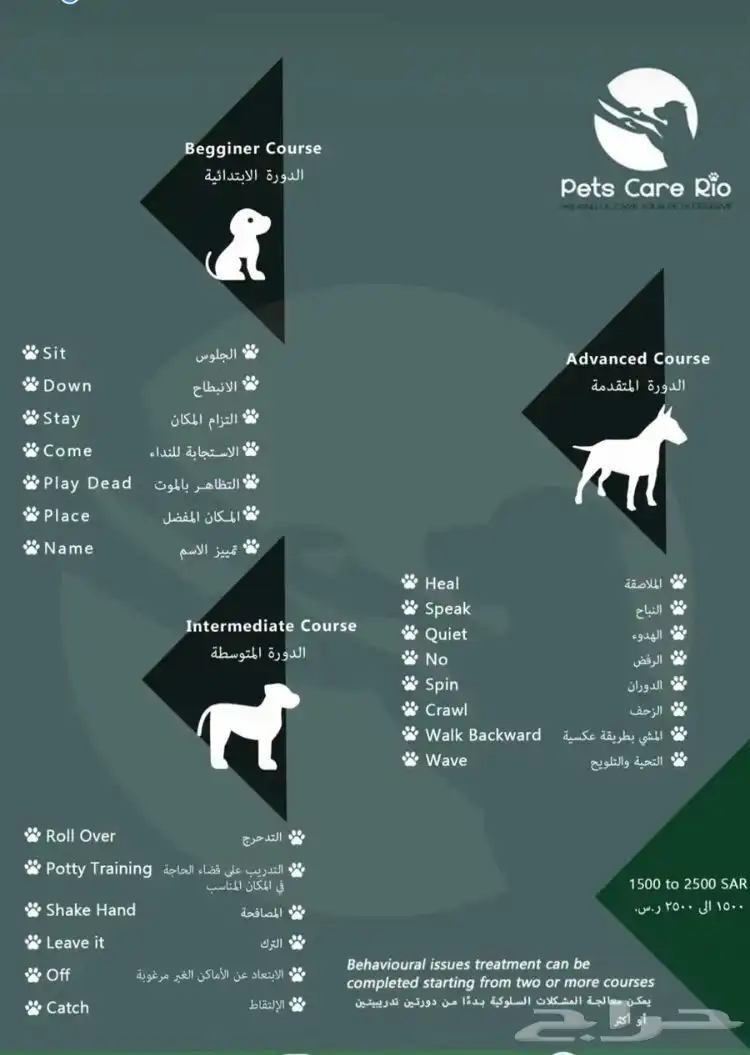 مدرب كلاب 1