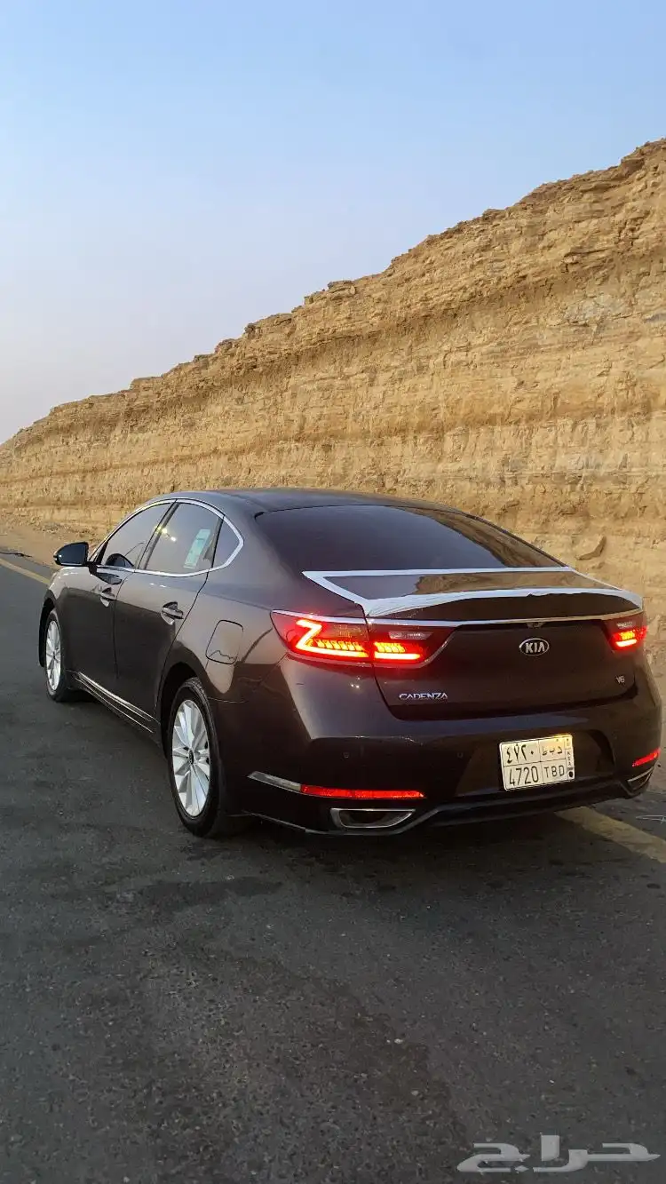 كدنزا 2018 3