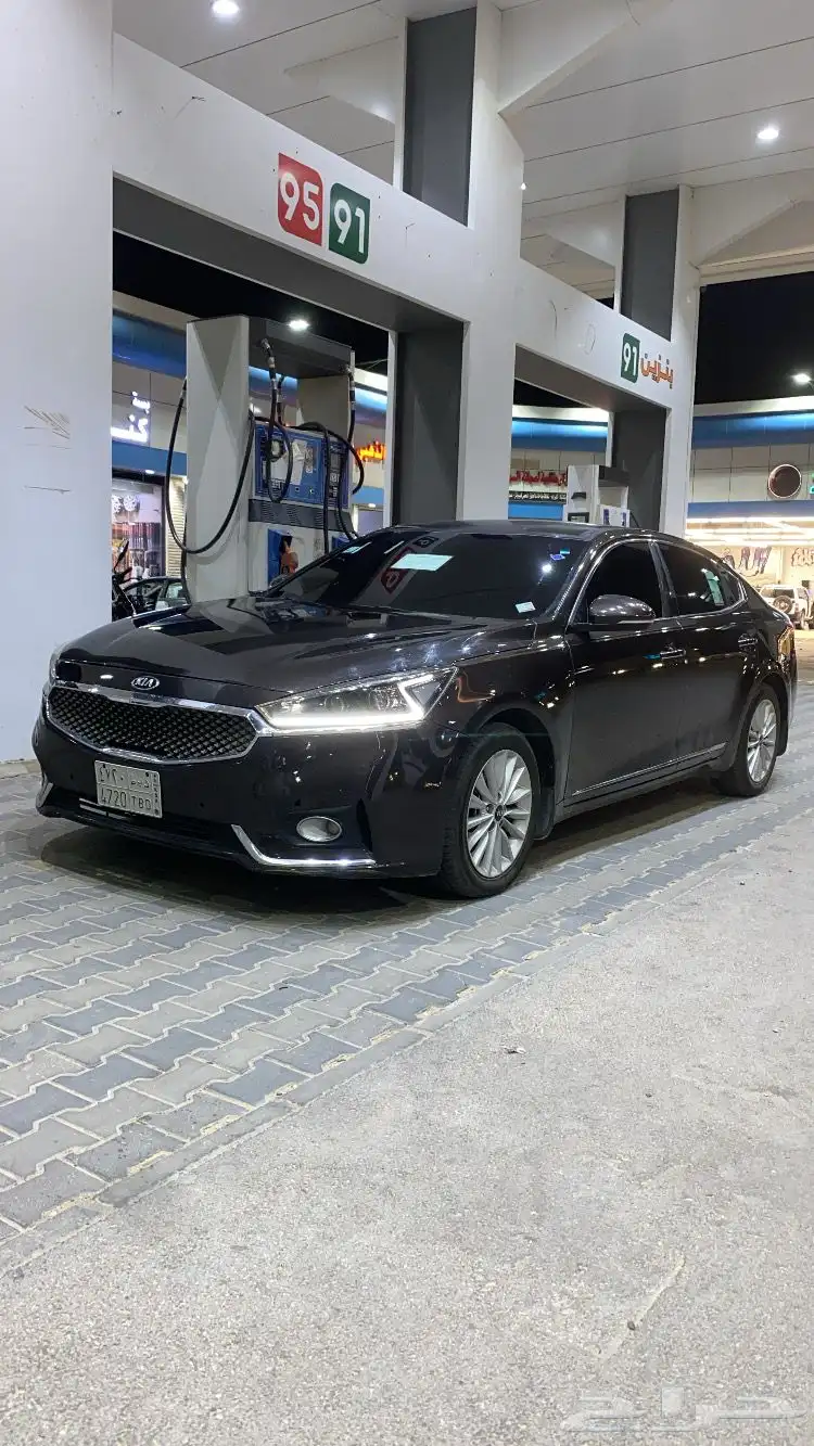 كدنزا 2018 1