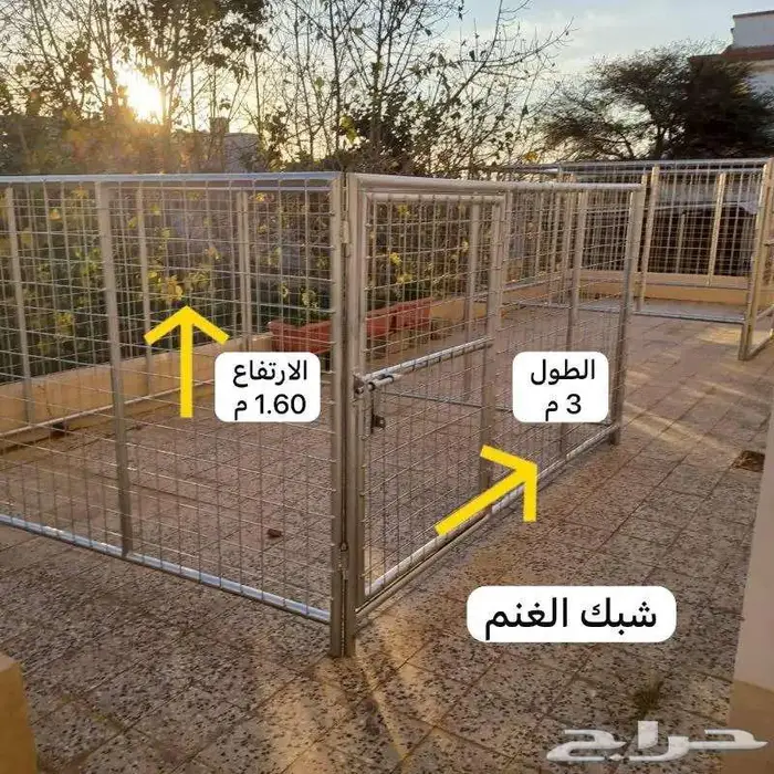 شبوك تفصيل على أصوله للإبل و الغنم 4
