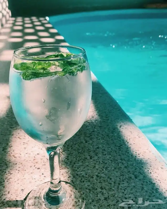 شاليهات رانس الفندقية 0
