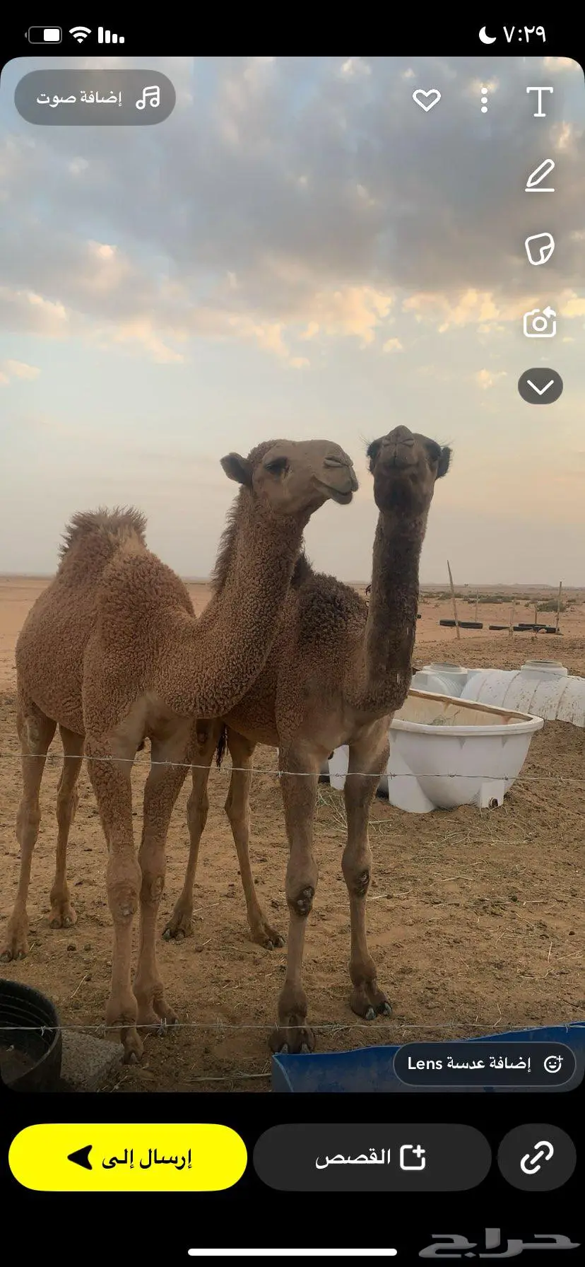 حشو طيب ب الحيل 0