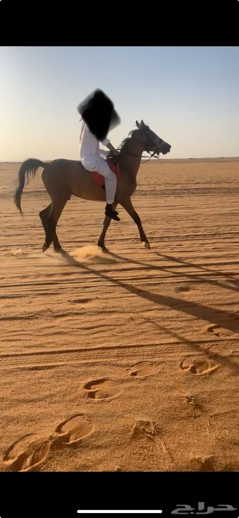 البيع مهر شعبي 1
