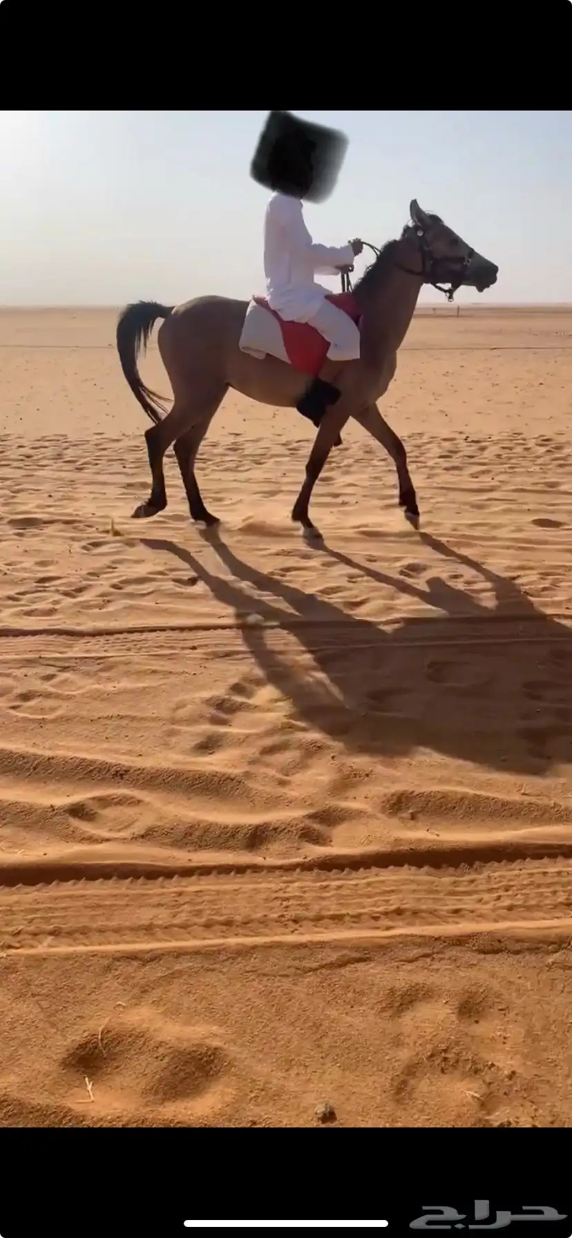 البيع مهر شعبي 0