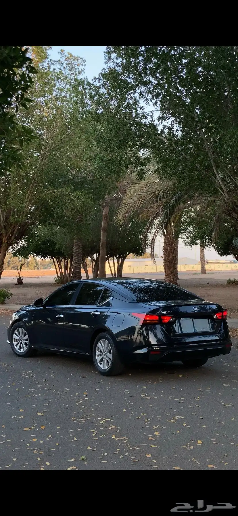 التيما 2020 ستاندر 0