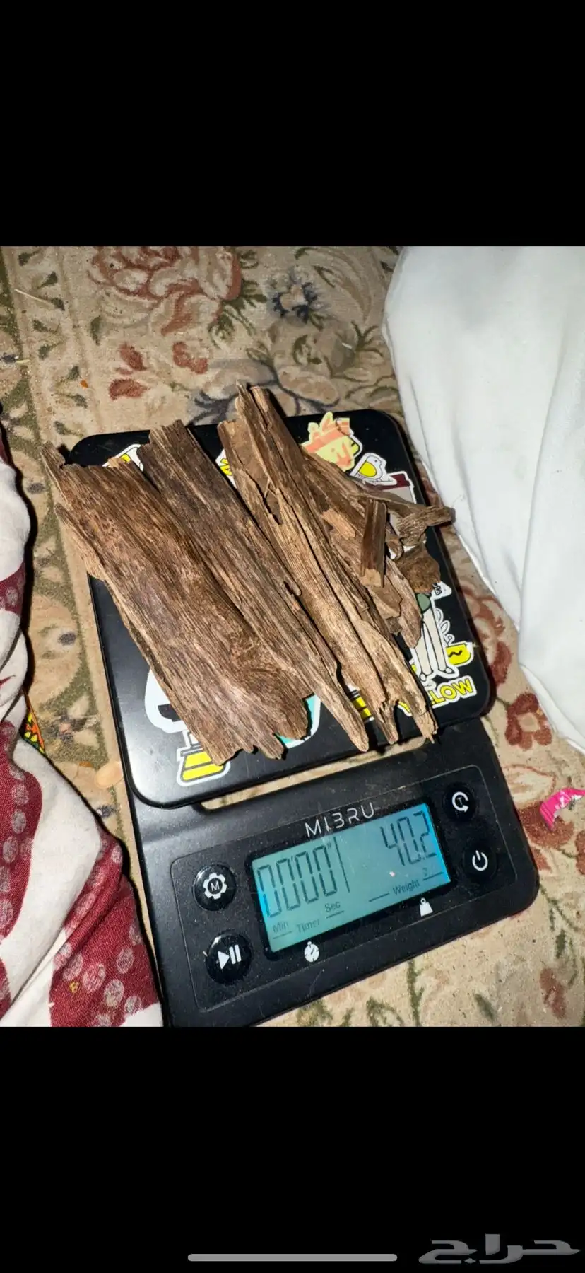 عود عندي 100 0