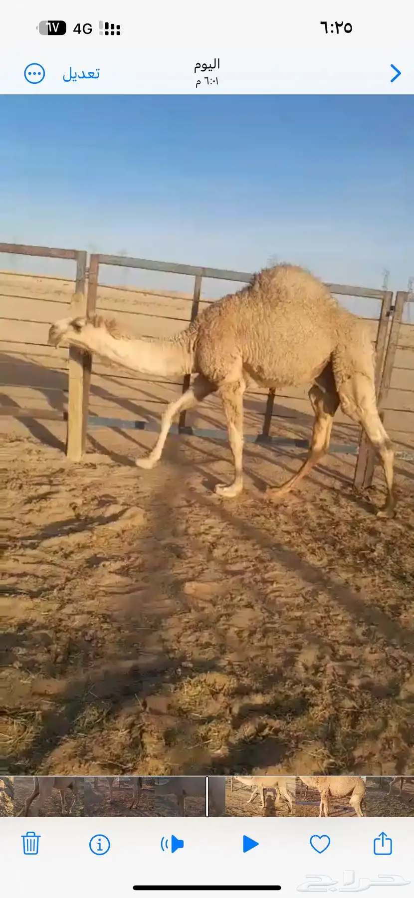 حاشي مفرود 2