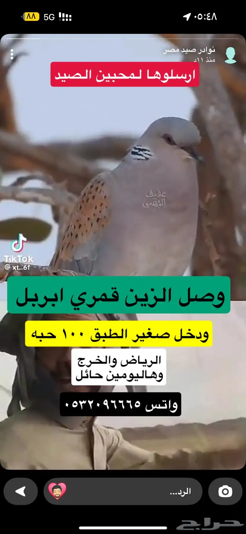قمري مصر index