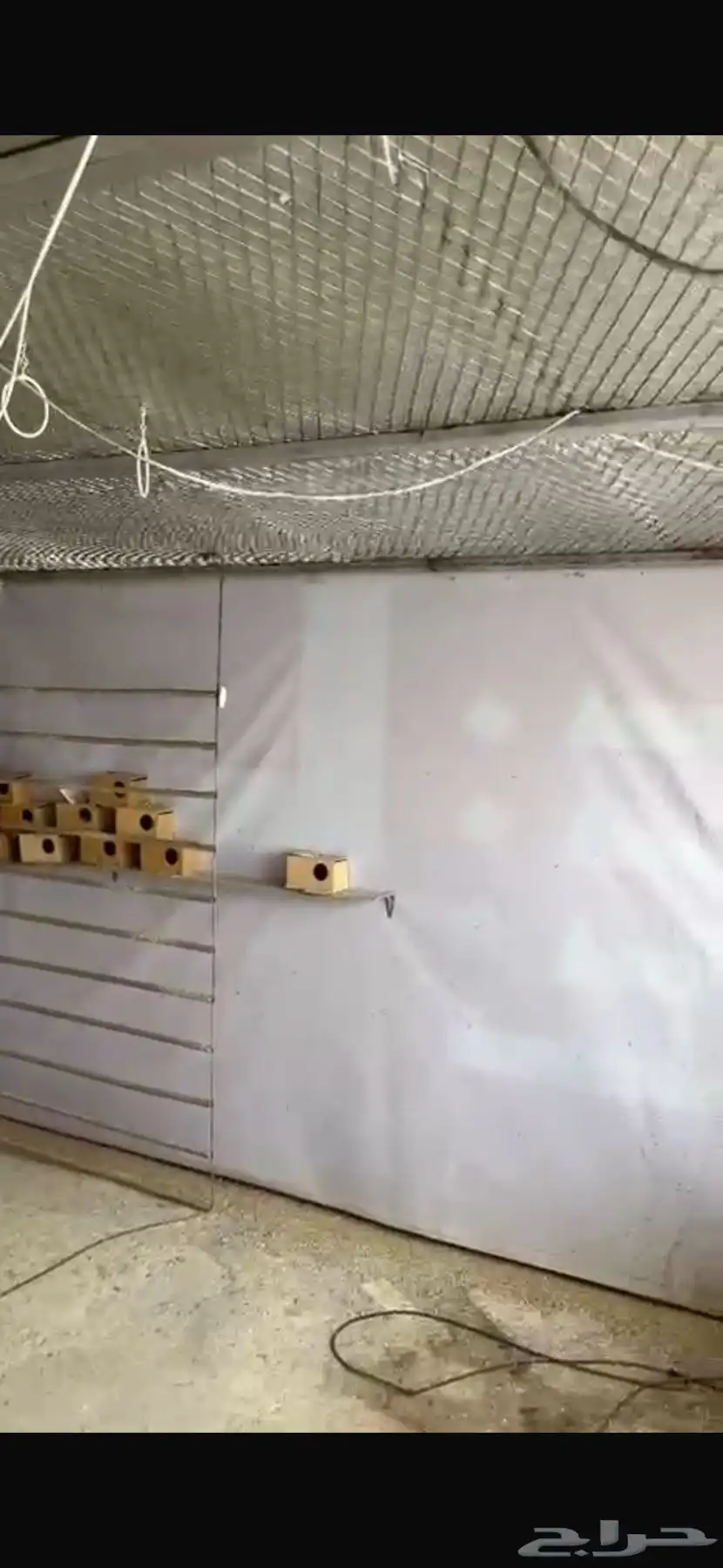 شبك او مطير 2