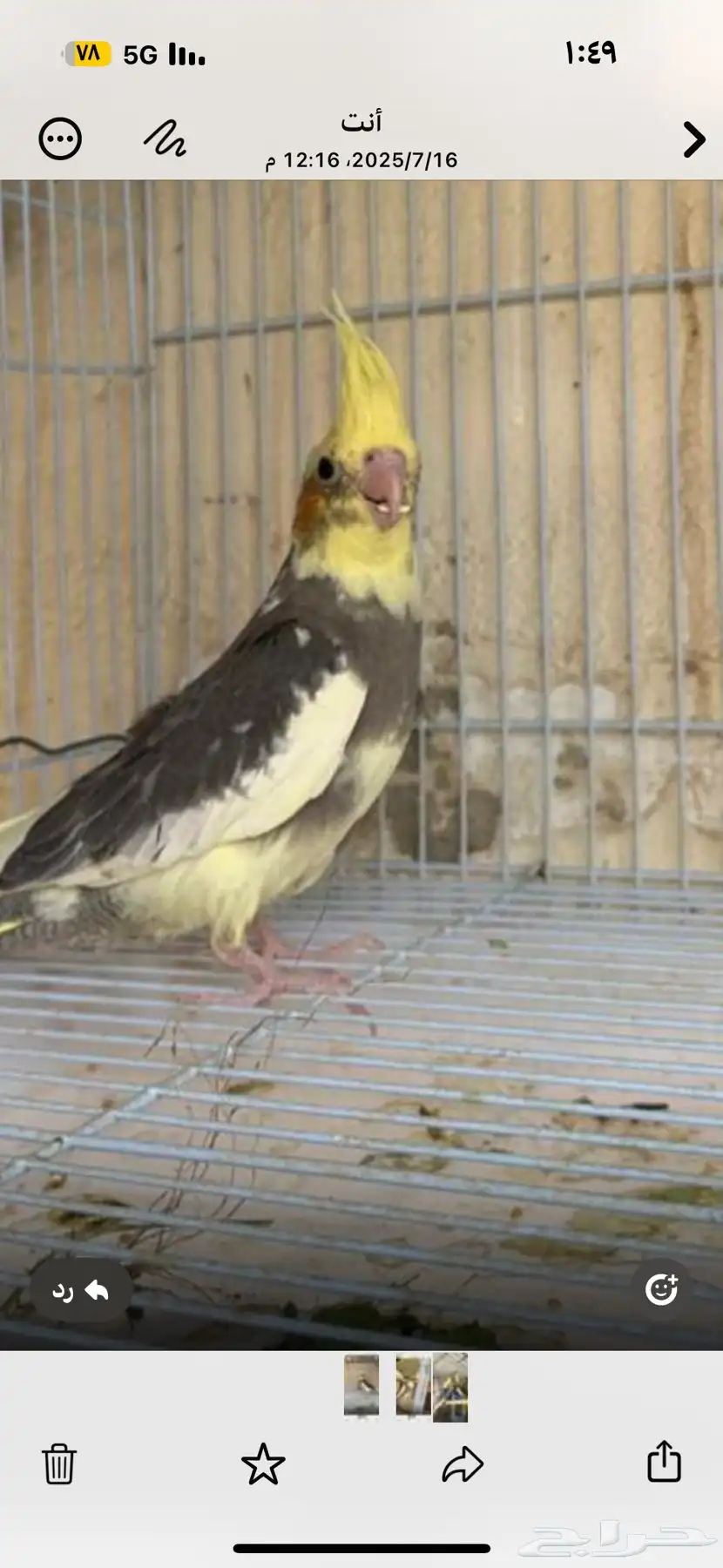 كروان أثنين خميس مشيط المدينه العسكريه 1
