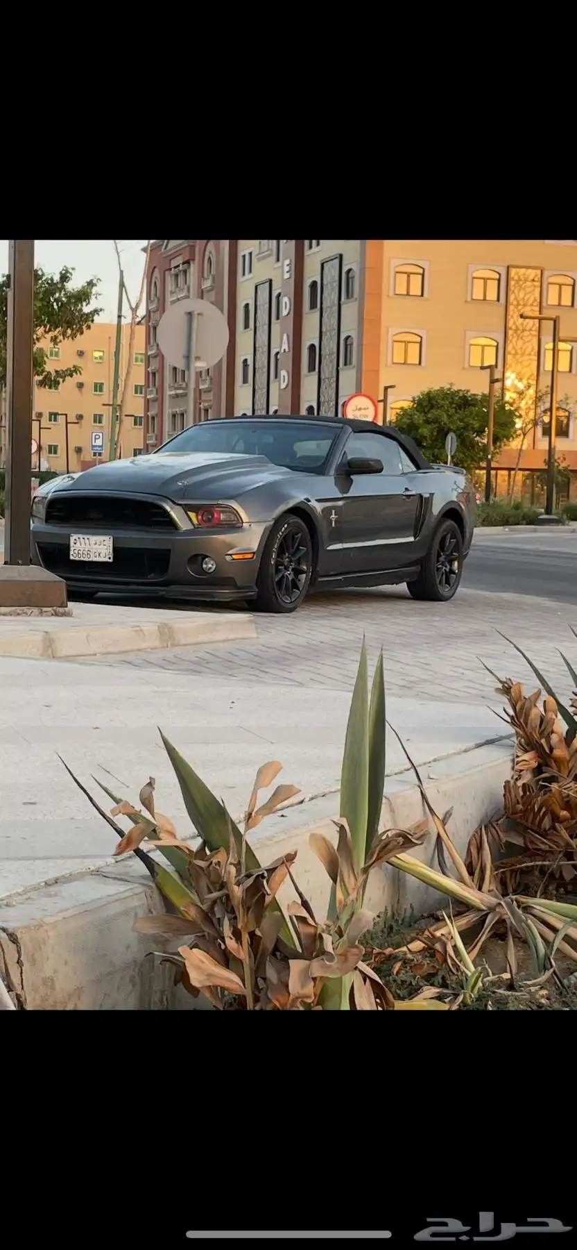 موستنق 2010 V6 مرشوشه كامل خالي من الحوادث ممشى 168 ميل 5