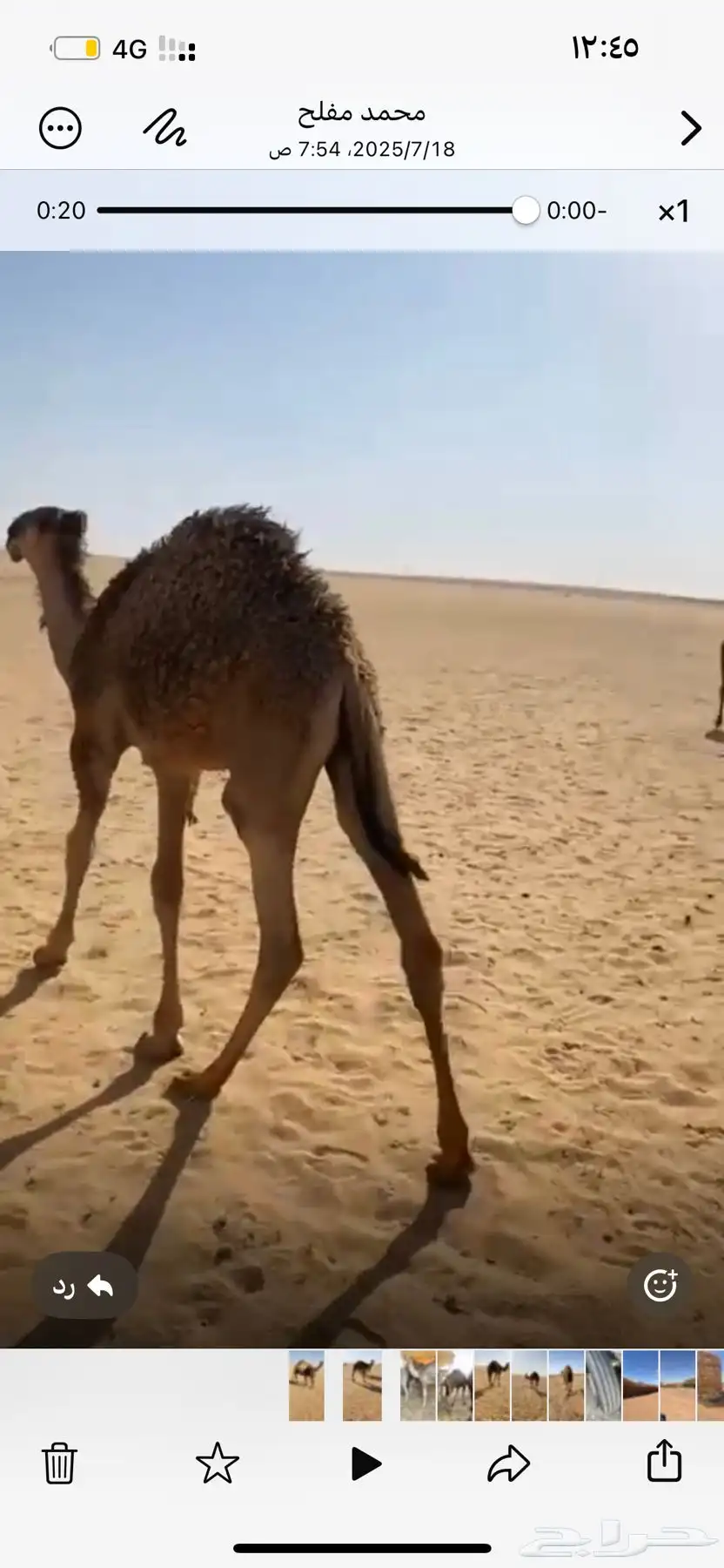 قعدان حشو قصب 0
