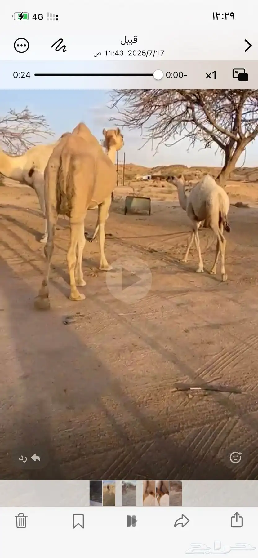 خلفه اركه 3